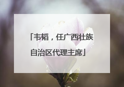 韦韬，任广西壮族自治区代理主席
