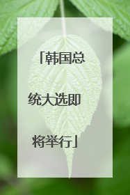 韩国总统大选即将举行