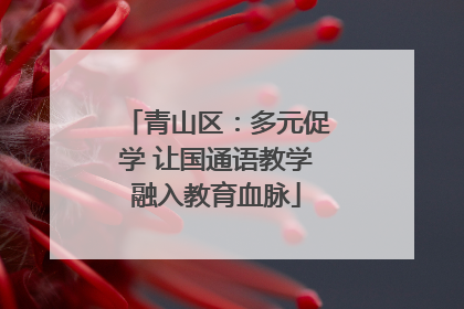 青山区：多元促学 让国通语教学融入教育血脉