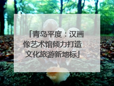 青岛平度：汉画像艺术馆倾力打造文化旅游新地标