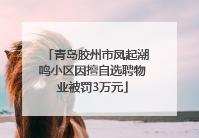 青岛胶州市凤起潮鸣小区因擅自选聘物业被罚3万元