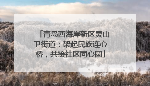 青岛西海岸新区灵山卫街道：架起民族连心桥，共绘社区同心圆