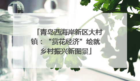 青岛西海岸新区大村镇：“赏花经济”绘就乡村振兴新图景