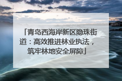 青岛西海岸新区隐珠街道：高效推进林业执法，筑牢林地安全屏障