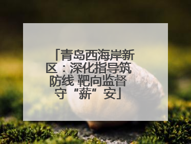 青岛西海岸新区：深化指导筑防线 靶向监督守“薪”安