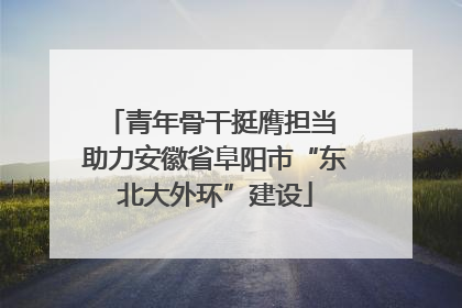 青年骨干挺膺担当 助力安徽省阜阳市“东北大外环”建设