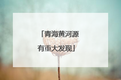 青海黄河源有重大发现