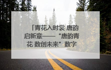 青花入时裳 唐韵启新章——“唐韵青花 数创未来”数字文创设计大赛启幕