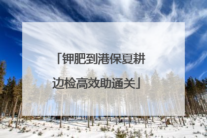 钾肥到港保夏耕 边检高效助通关