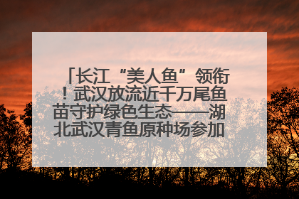 长江“美人鱼”领衔！武汉放流近千万尾鱼苗守护绿色生态——湖北武汉青鱼原种场参加2025年“全国放鱼日”增殖放流活动
