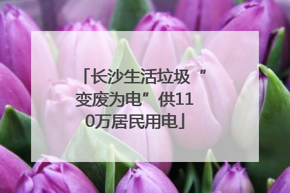 长沙生活垃圾“变废为电”供110万居民用电