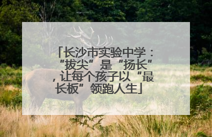 长沙市实验中学：“拔尖”是“扬长”，让每个孩子以“最长板”领跑人生
