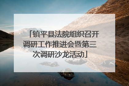 镇平县法院组织召开调研工作推进会暨第三次调研沙龙活动
