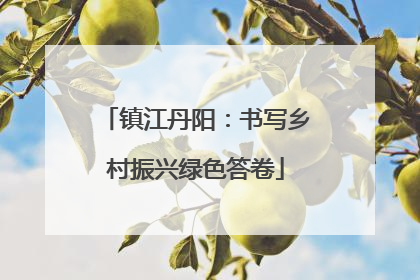 镇江丹阳：书写乡村振兴绿色答卷