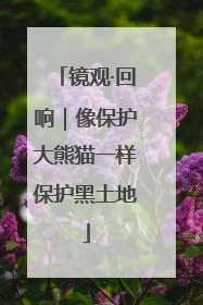 镜观·回响｜像保护大熊猫一样保护黑土地