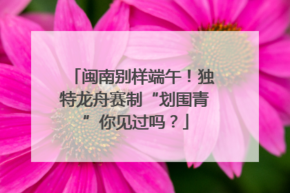 闽南别样端午！独特龙舟赛制“划围青”你见过吗？