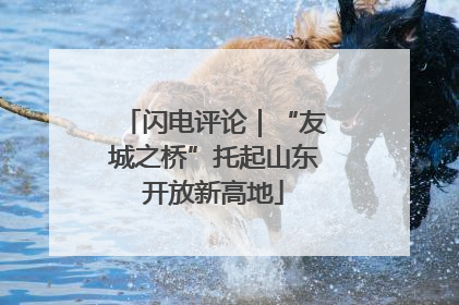 闪电评论｜“友城之桥”托起山东开放新高地