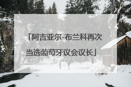 阿吉亚尔-布兰科再次当选葡萄牙议会议长