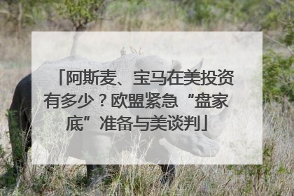 阿斯麦、宝马在美投资有多少？欧盟紧急“盘家底”准备与美谈判