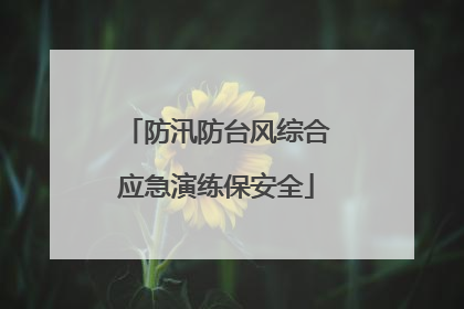 防汛防台风综合应急演练保安全