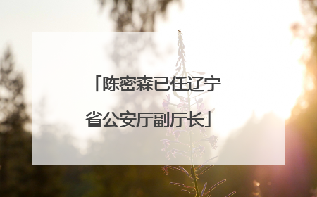 陈密森已任辽宁省公安厅副厅长