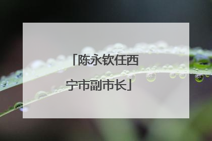 陈永钦任西宁市副市长