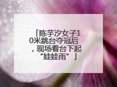 陈芋汐女子10米跳台夺冠后，现场看台下起“娃娃雨”