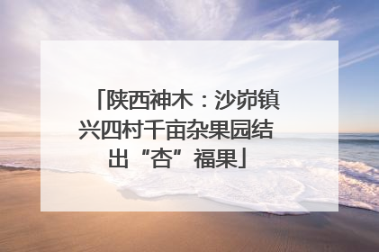 陕西神木：沙峁镇兴四村千亩杂果园结出“杏”福果