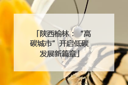 陕西榆林：“高碳城市”开启低碳发展新篇章