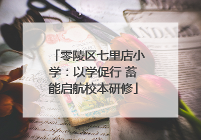 零陵区七里店小学：以学促行 蓄能启航校本研修