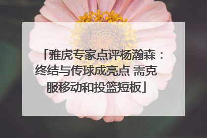 雅虎专家点评杨瀚森：终结与传球成亮点 需克服移动和投篮短板
