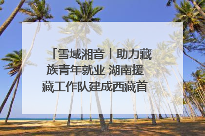 雪域湘音丨助力藏族青年就业 湖南援藏工作队建成西藏首个清洁能源装备园