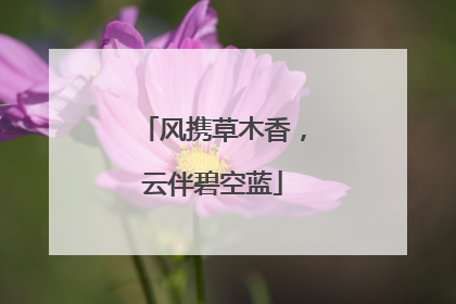 风携草木香，云伴碧空蓝