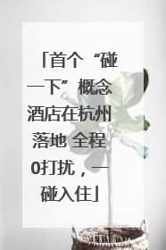 首个“碰一下”概念酒店在杭州落地 全程0打扰，一碰入住
