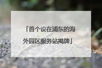 首个设在浦东的海外园区服务站揭牌