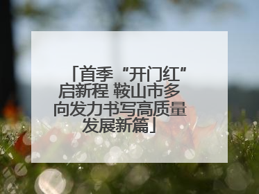首季“开门红”启新程 鞍山市多向发力书写高质量发展新篇