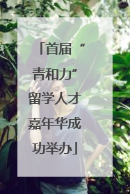 首届“青和力”留学人才嘉年华成功举办