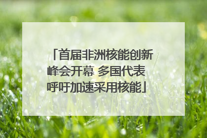 首届非洲核能创新峰会开幕 多国代表呼吁加速采用核能