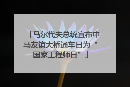 马尔代夫总统宣布中马友谊大桥通车日为“国家工程师日”