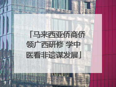 马来西亚侨商侨领广西研修 学中医看非遗谋发展