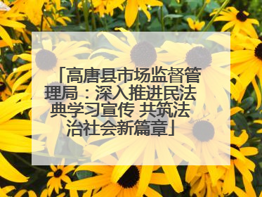 高唐县市场监督管理局：深入推进民法典学习宣传 共筑法治社会新篇章