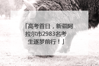 高考首日，新疆阿拉尔市2983名考生逐梦前行！