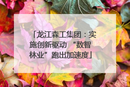 龙江森工集团：实施创新驱动 “数智林业”跑出加速度