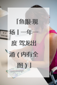 鱼眼·现场丨一年一度 驾龙出涌（内有全图）