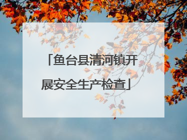 鱼台县清河镇开展安全生产检查