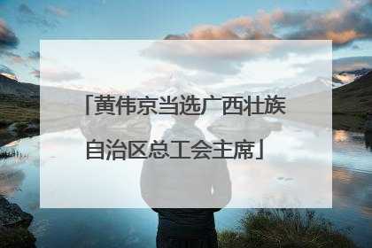 黄伟京当选广西壮族自治区总工会主席