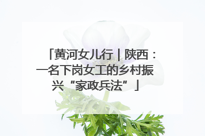 黄河女儿行｜陕西：一名下岗女工的乡村振兴“家政兵法”