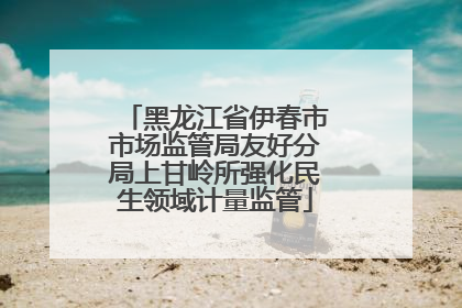 黑龙江省伊春市市场监管局友好分局上甘岭所强化民生领域计量监管