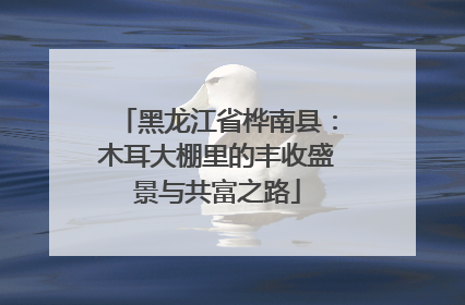 黑龙江省桦南县：木耳大棚里的丰收盛景与共富之路