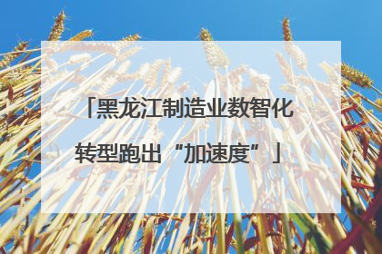 黑龙江制造业数智化转型跑出“加速度”